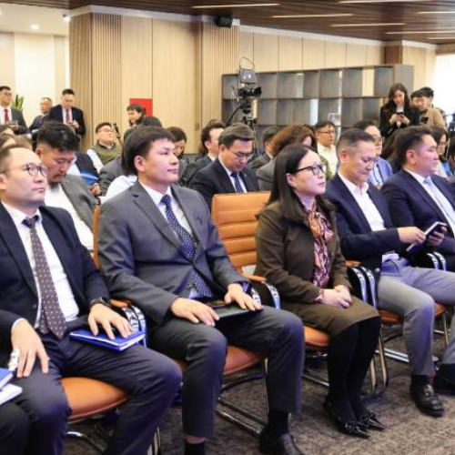 Економски раст остаје снажан док стране инвестиције опадају